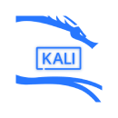 Remapps SpA - Skills - Habilidades - Kali Pentesting